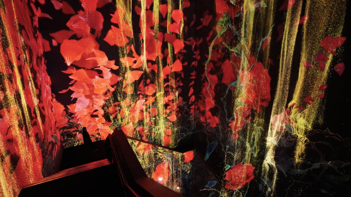 Световая инсталляция teamLab Borderless Jeddah